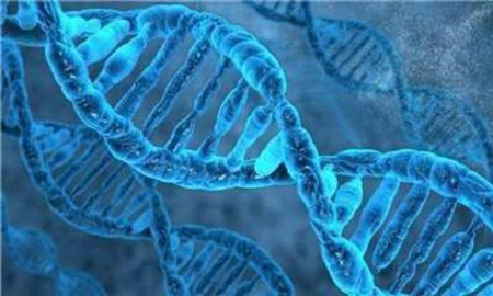 新生儿的胎记怎么形成的